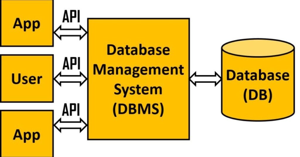 Database Management: Storing User Data Safely