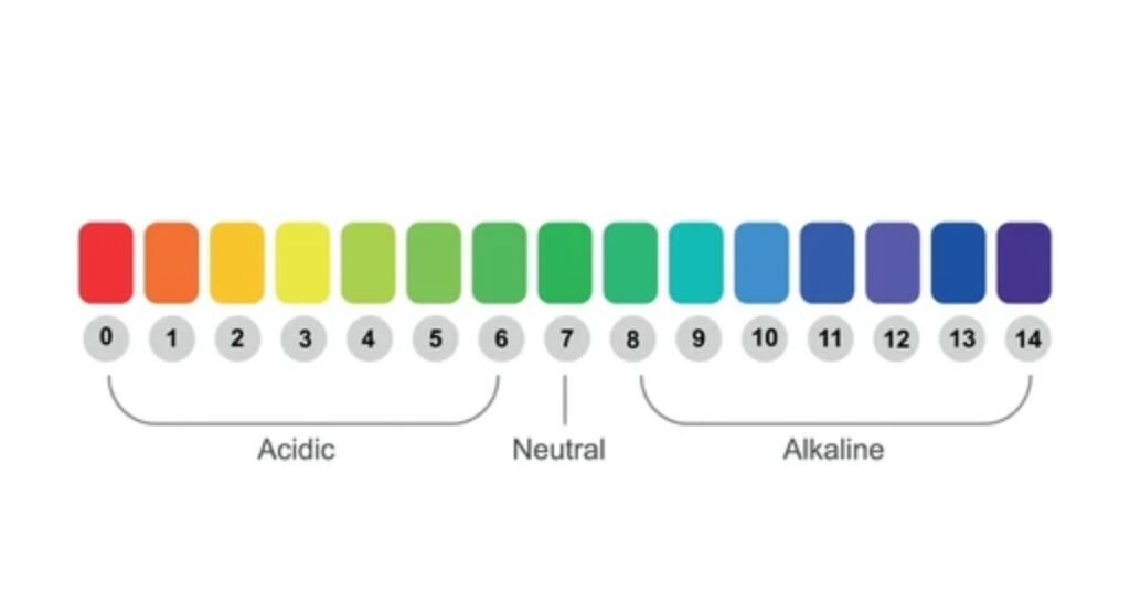 From Clear To Color: The Ph Transformation Journey